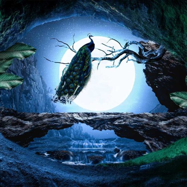 Midnight Moon Decorative Wallpaper