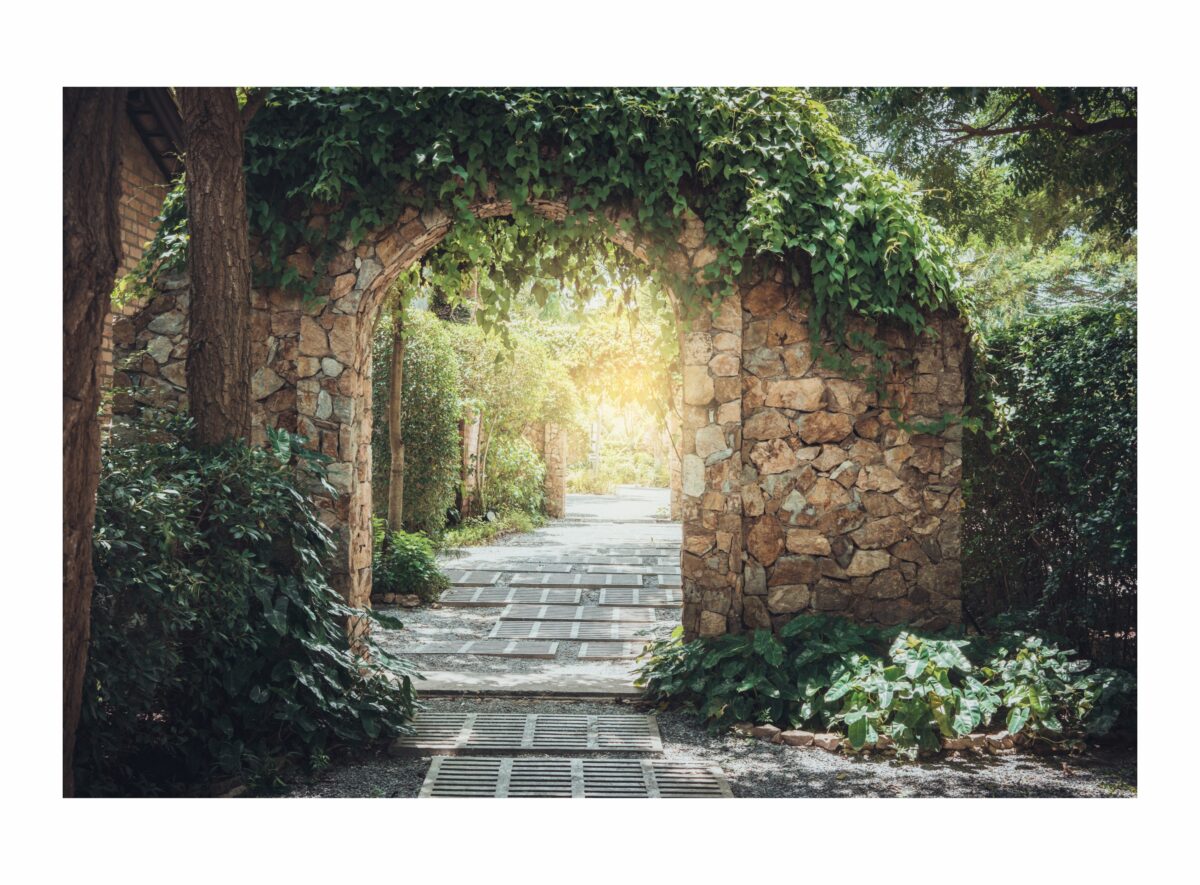 Forest Decorative Wallpaper - Image 1