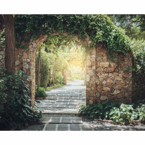Forest Decorative Wallpaper