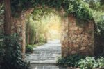 Forest Decorative Wallpaper - Image 2