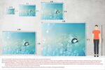 Brown Horse Decorative Wallpaper - Image 4