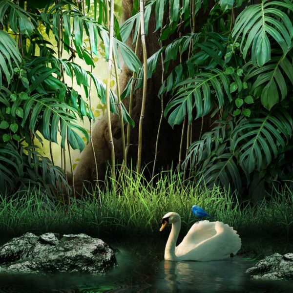 Nature Forest Decorative Wallpaper