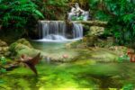 Zen Forest Decorative Wallpaper - Image 2