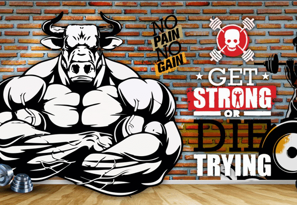 Bull Motivational Gym Wall Wallpaper